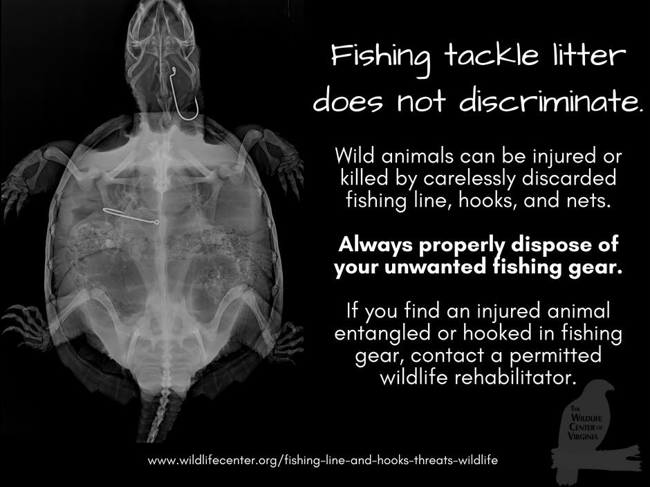 Fishing tackle litter damage explanation