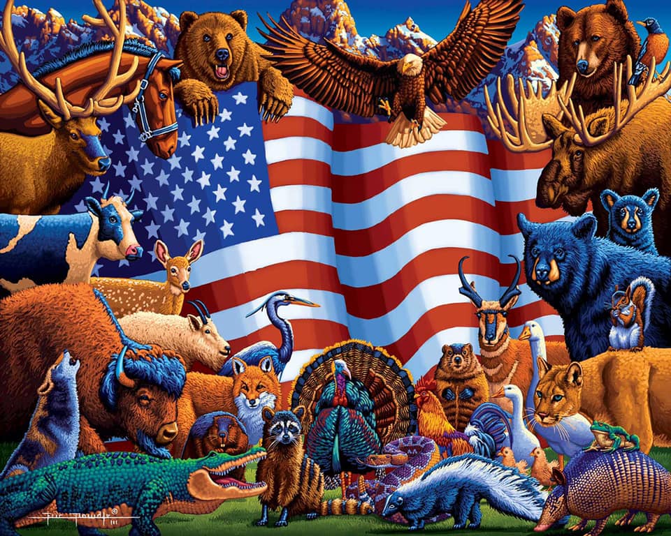 American flag with american animals around it