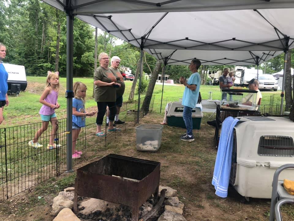 Fran talking to people about animals at the show