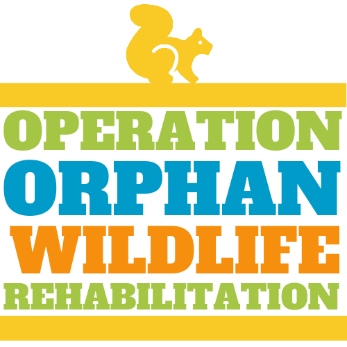 Operation Orphan Wildlife