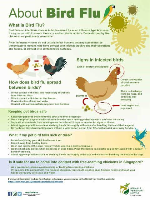 ATTENTION FRIENDS: Avian Influenza