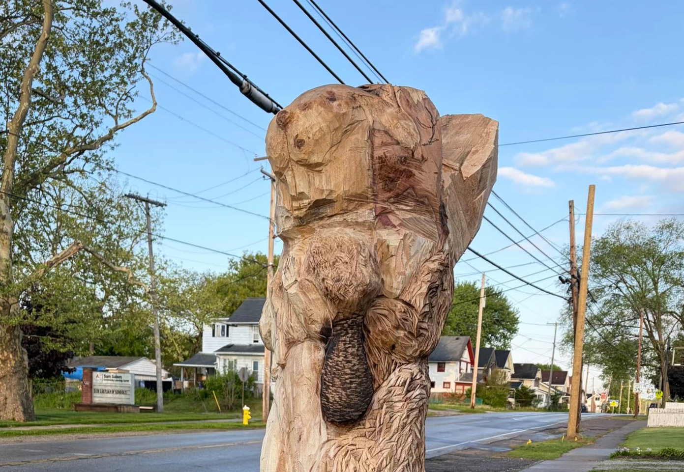 Fran is loving all the woodcarving guesses, thank you!